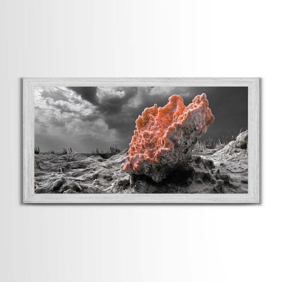 Coral Texture Art, Desert Coral Print, Earthy Organic Decor, Vibrant Nature Scene, Framed Canvas Print, Living Room Wall Art, Natural Art