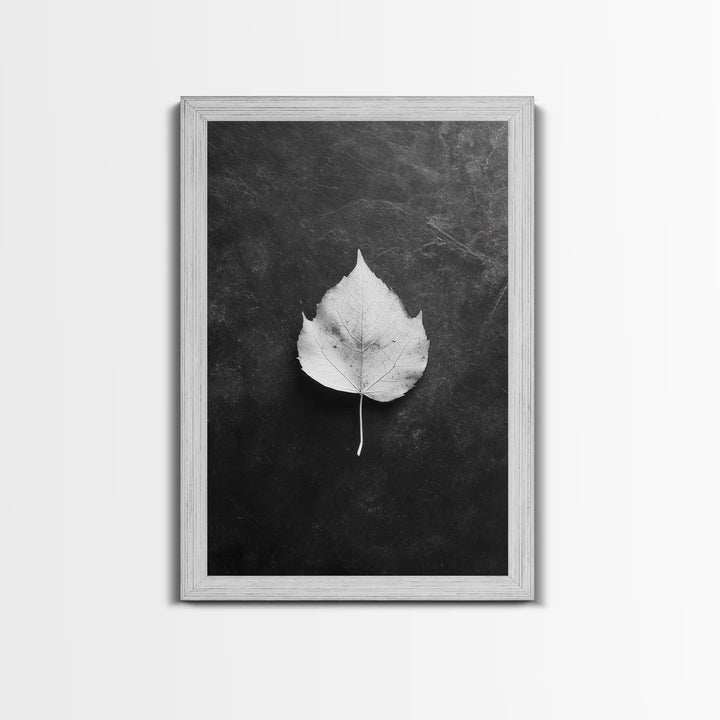 Monochrome Leaf, Nature Minimal, Still Life, Moody Art, Framed Canvas Print, Fall Wall Art, Kitchen Decor, Neutral Modern Aesthetic