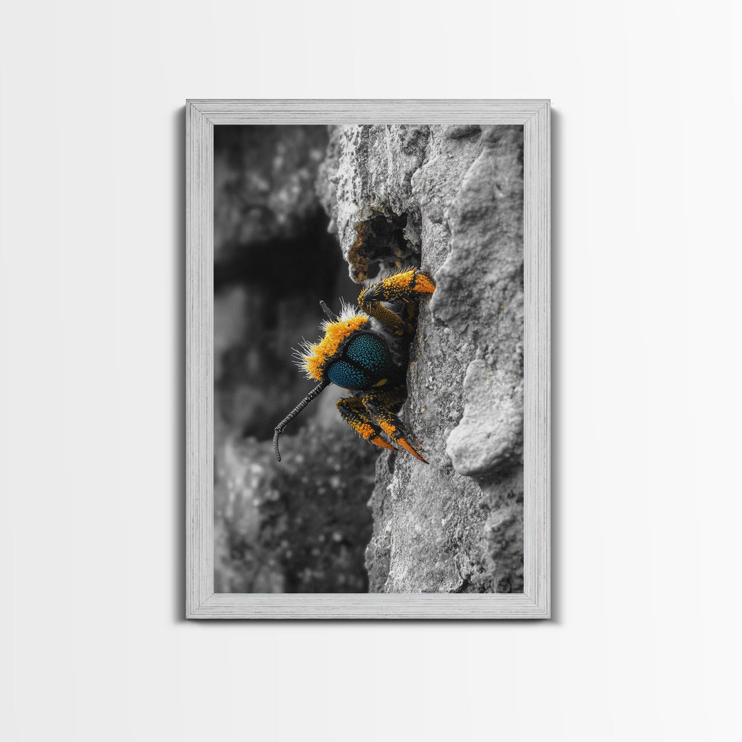 Fuzzy Bee Closeup, Insect Macro, Nature Texture, Framed Canvas Print, Wildlife Wall Art, Entomology Decor, Nature Photography
