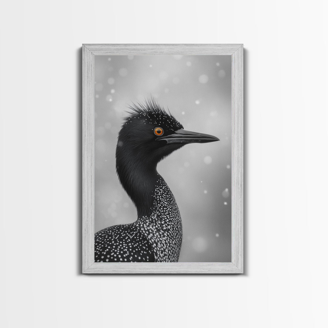 Black Loon, Bird Closeup, Snowy Glow, Winter Nature Canvas Print, Wildlife Wall Art, Modern Bedroom Decor, Birdwatcher Gift Print