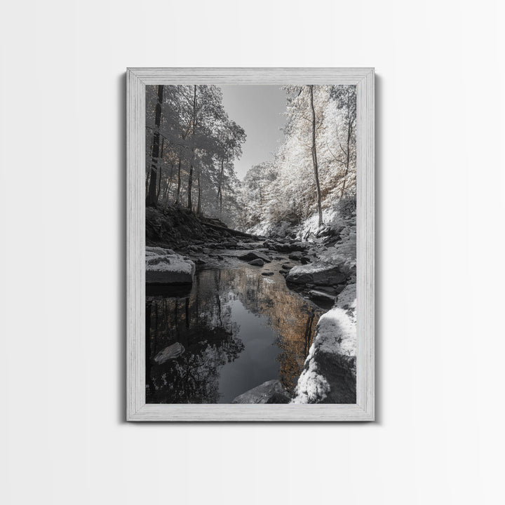 Autumn Creek Walk, Monochrome Forest Stream, Fall Reflections, Framed Canvas Print, Entryway Wall Art, Nature Trail Photography Decor
