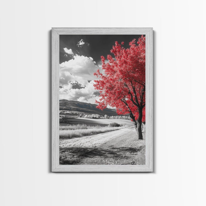 Autumn Red Tree, Scenic Road, Countryside Field, Framed Canvas Print, Fall Wall Art, Rustic Home Decor, Nature Photography, Office Accent