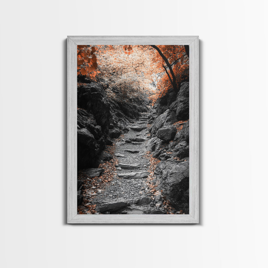 Rocky Trail, Autumn Leaves, Forest Path, Framed Canvas Print, Fall Nature Wall Art, Rustic Entryway Decor, Hiking Landscape Art