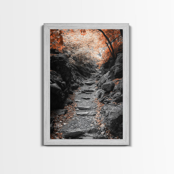 Rocky Trail, Autumn Leaves, Forest Path, Framed Canvas Print, Fall Nature Wall Art, Rustic Entryway Decor, Hiking Landscape Art