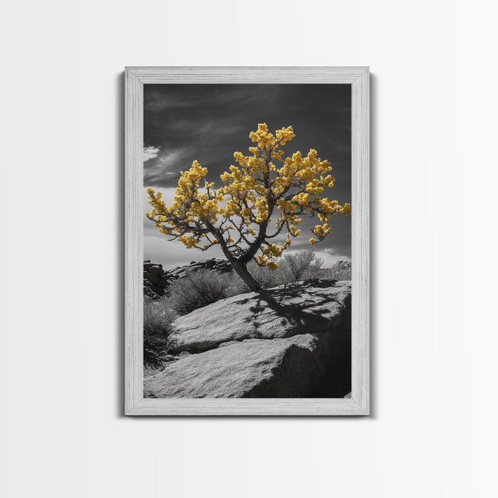 Desert Bloom, Yellow Tree, Rocky Hill, Framed Canvas Print, Southwest Wall Art, Boho Nature Decor, Minimalist Desert Landscape