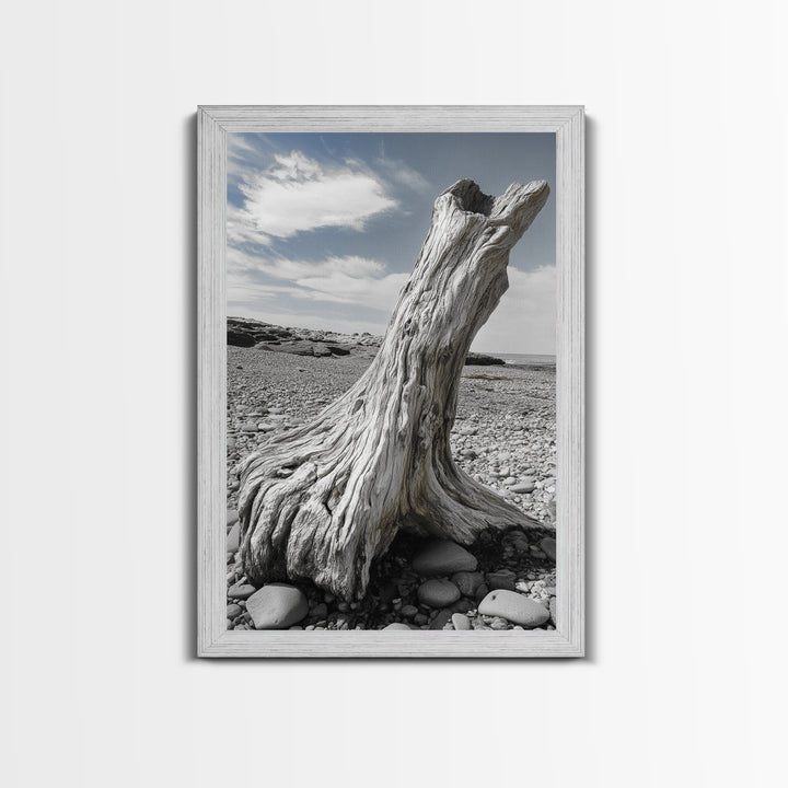 Coastal Driftwood, Beach Stump, Pebble Shore, Framed Canvas Print, Rustic Wall Art, Bathroom Decor, Earthy Beach House Accent