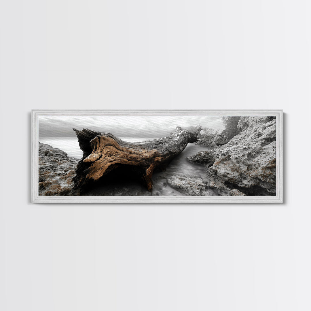 Driftwood Coast, Ocean Roots, Washed Ashore, Beach Texture — Canvas Print, Coastal Decor, Bathroom Wall Art, Monochrome Nature Photography