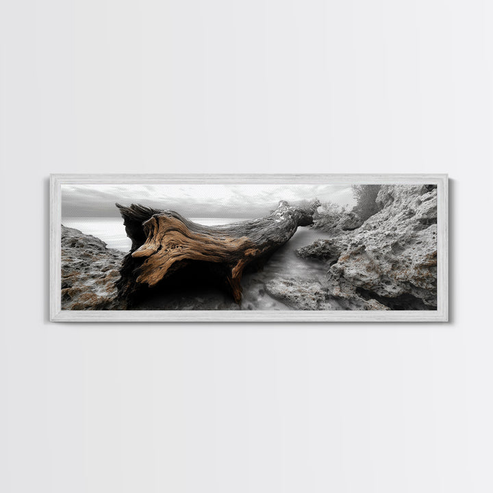 Driftwood Coast, Ocean Roots, Washed Ashore, Beach Texture — Canvas Print, Coastal Decor, Bathroom Wall Art, Monochrome Nature Photography