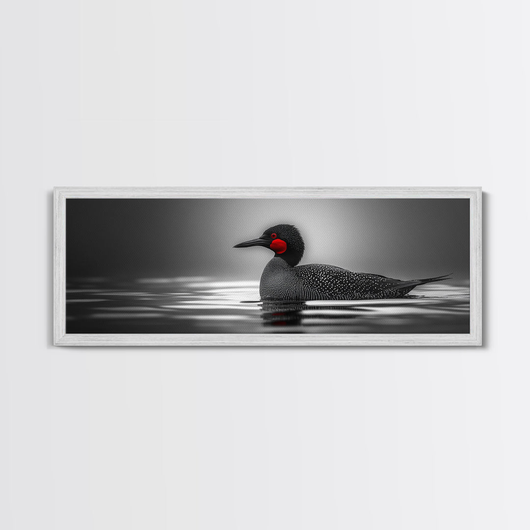 Red-Eyed Loon, Waterbird, Monochrome Beauty, Wildlife Portrait, Framed Canvas Print, Cabin Wall Art, Bird Lover Gift, Nature Photography