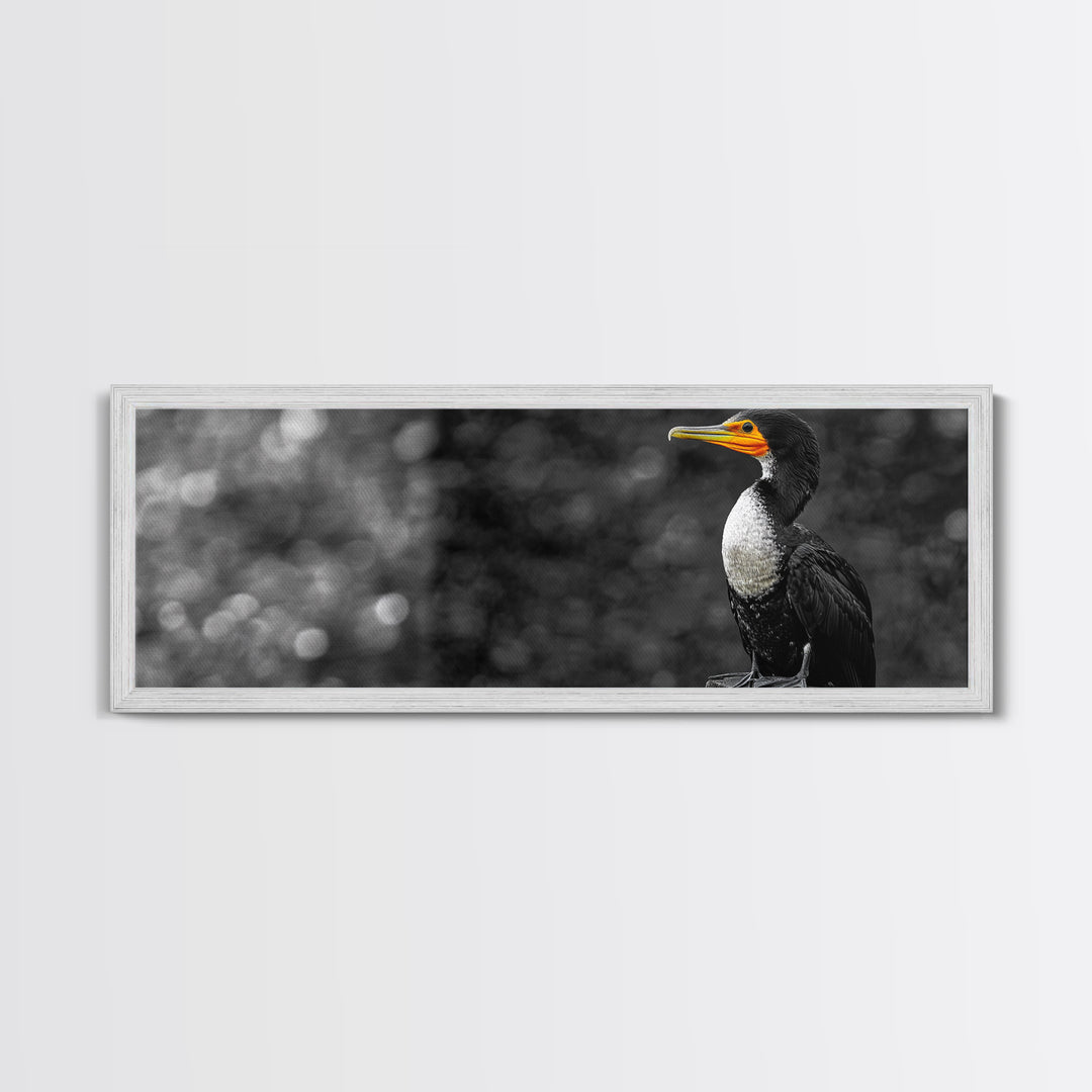 Black White Bird, Orange Beak Detail, Minimal Nature Portrait, Framed Canvas Print, Rustic Wall Art, Study or Cabin Decor
