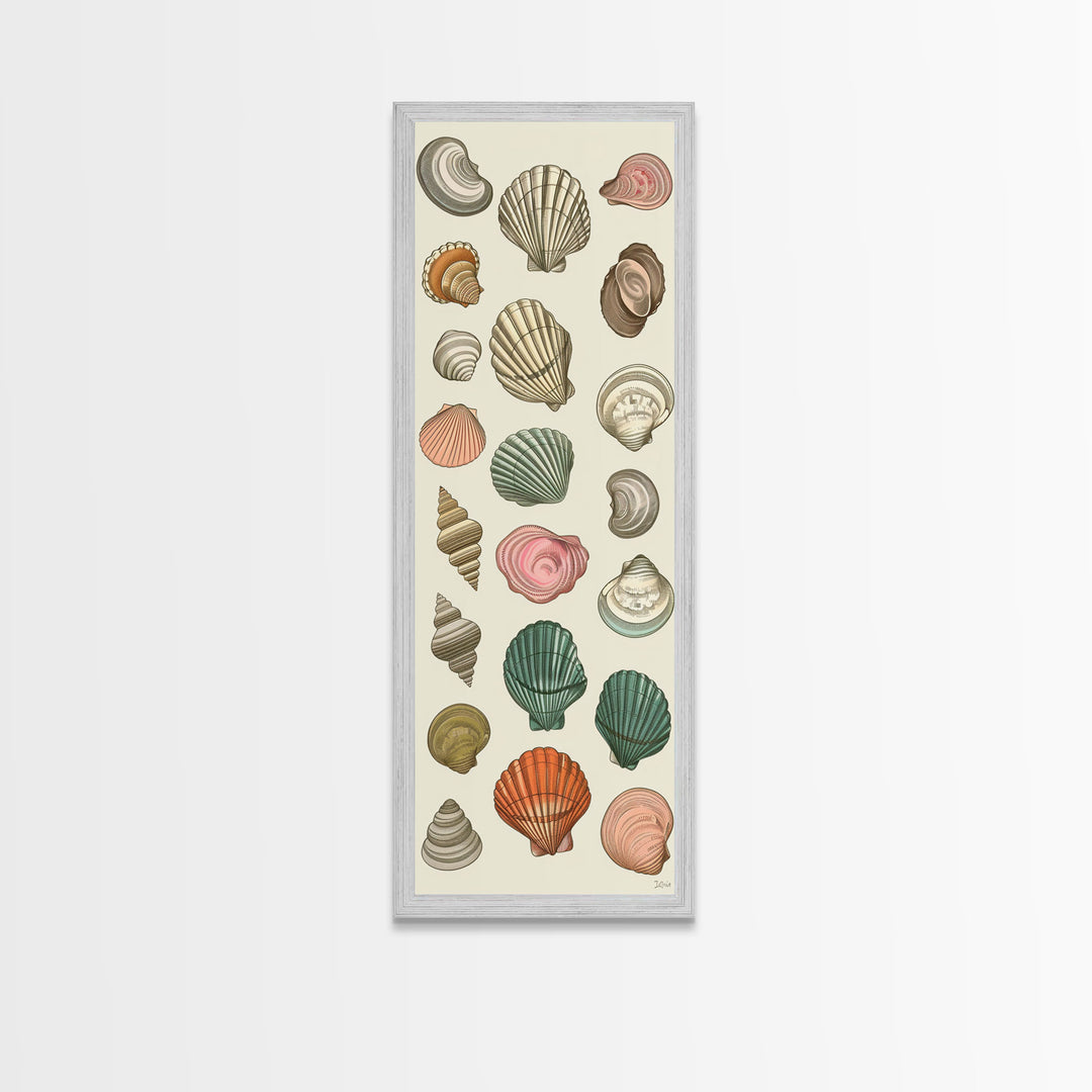 Elegant Sea Shell Collection in Vintage Style on Tall Vertical Canvas Print Perfect for Coastal-Themed Wall Decor