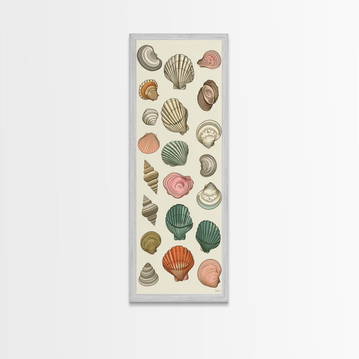 Elegant Sea Shell Collection in Vintage Style on Tall Vertical Canvas Print Perfect for Coastal-Themed Wall Decor