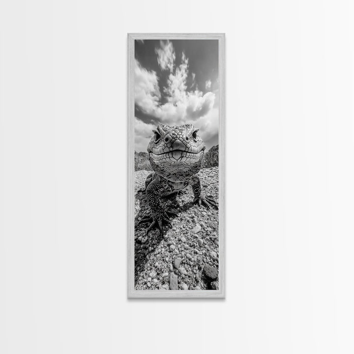 Lizard Close-Up, Framed Canvas Print, wildlife photography, rustic wall art, southwest wall art, desert animal art, black and white home decor