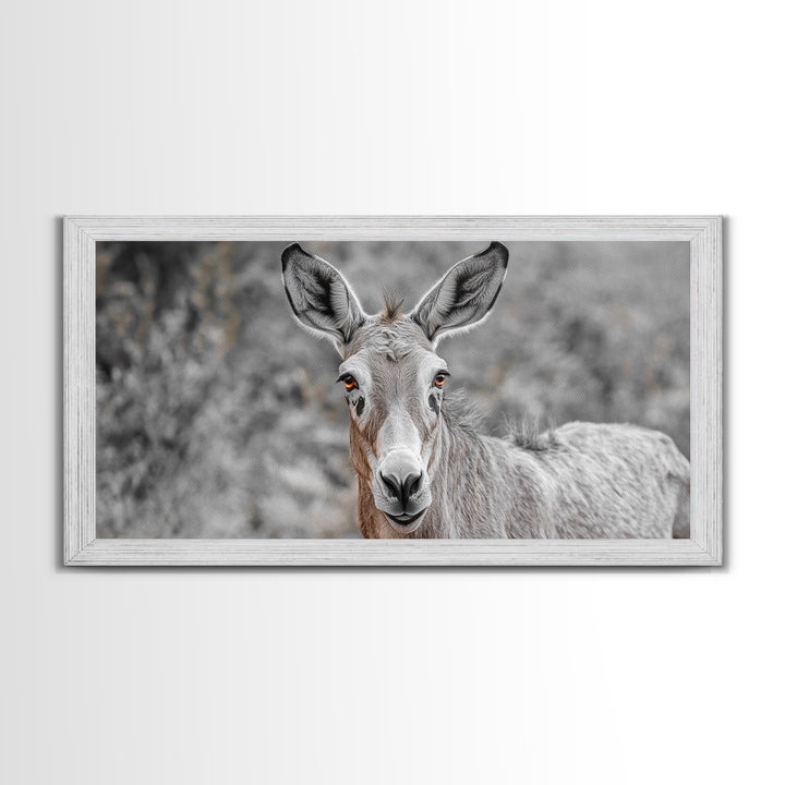Donkey Close-Up Framed Canvas Print | Rustic Farmhouse Art | Moody Animal Portrait | Southwest Wall Art | Extra Wide Art | Above Couch Decor
