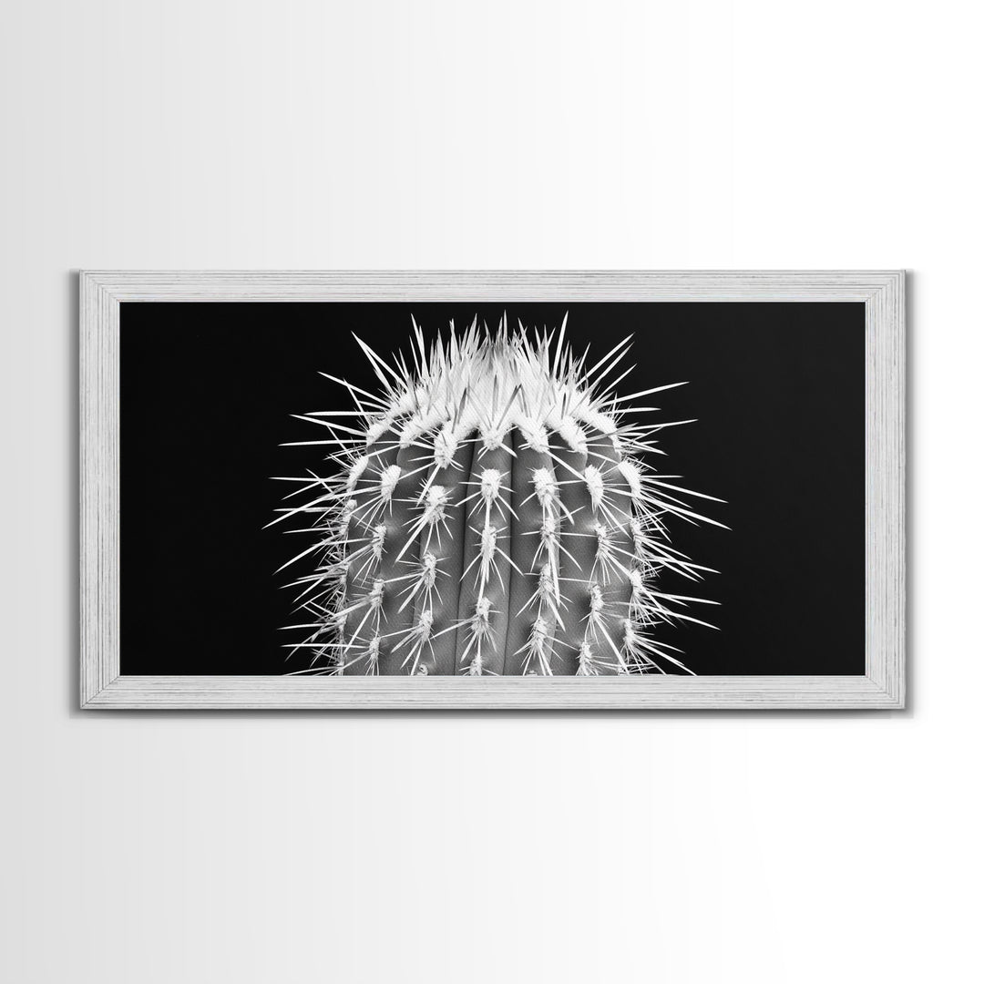 Cactus Spines, southwest wall art, desert art, botanical prints, geometric wall art, nature photography, sharp contrast, Framed Canvas Print
