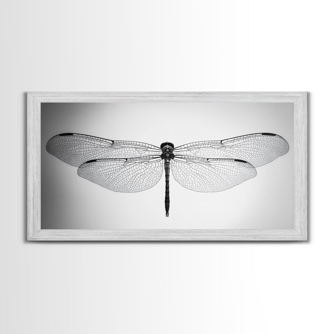 Dragonfly, line art, minimalist art, black and white art, nature painting, botanical prints, extra wide art, framed canvas print