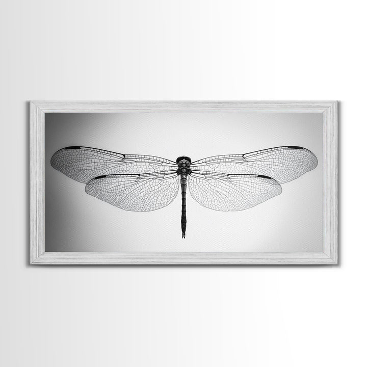 Dragonfly, line art, minimalist art, black and white art, nature painting, botanical prints, extra wide art, framed canvas print