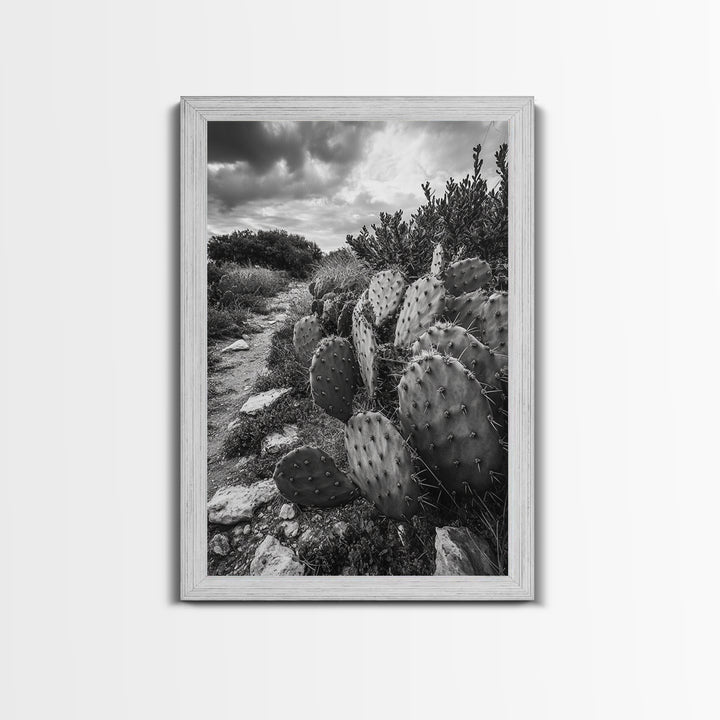 Cactus Trail, southwest wall art, rustic decor, desert painting, wabi sabi art, nature landscape art, framed canvas print, farmhouse decor
