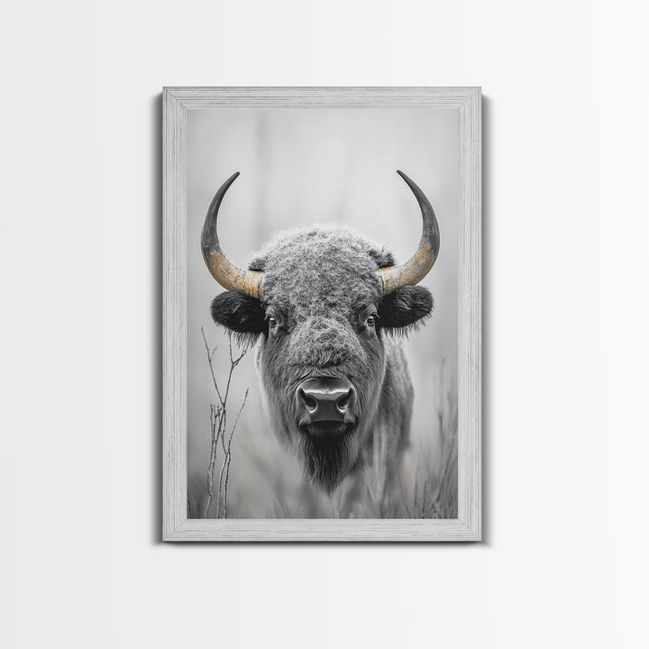 Bison, buffalo art, wildlife painting, framed canvas print, rustic decor, western wall art, moody nature, farmhouse animal art, southwest