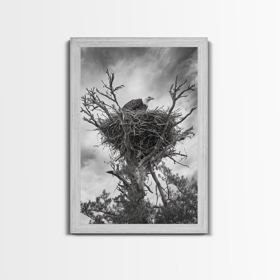 Bald Eagle, bird art, nature photography, moody art, rustic decor, patriotic wall art, black and white, framed canvas print, wildlife art