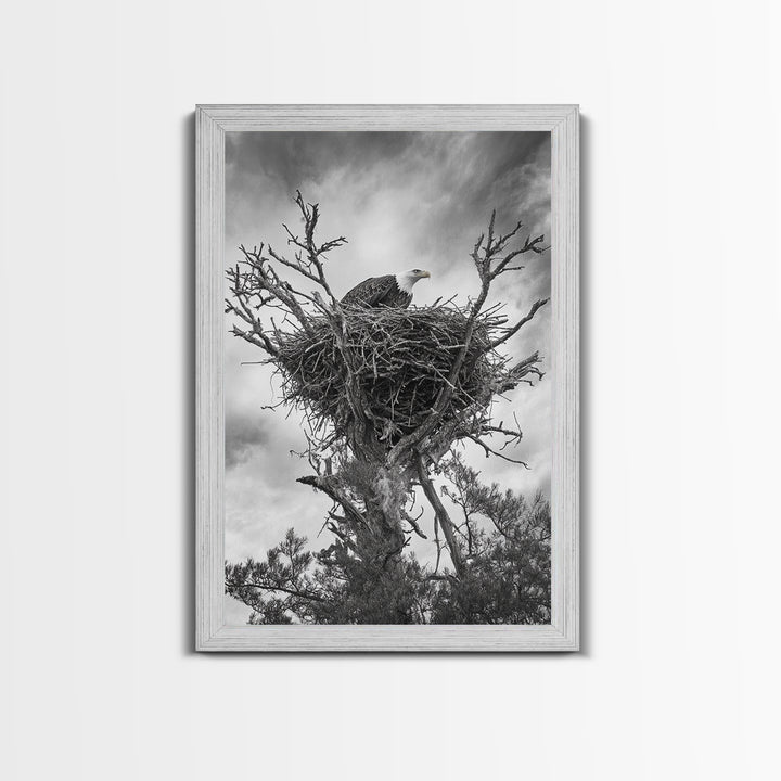 Bald Eagle, bird art, nature photography, moody art, rustic decor, patriotic wall art, black and white, framed canvas print, wildlife art