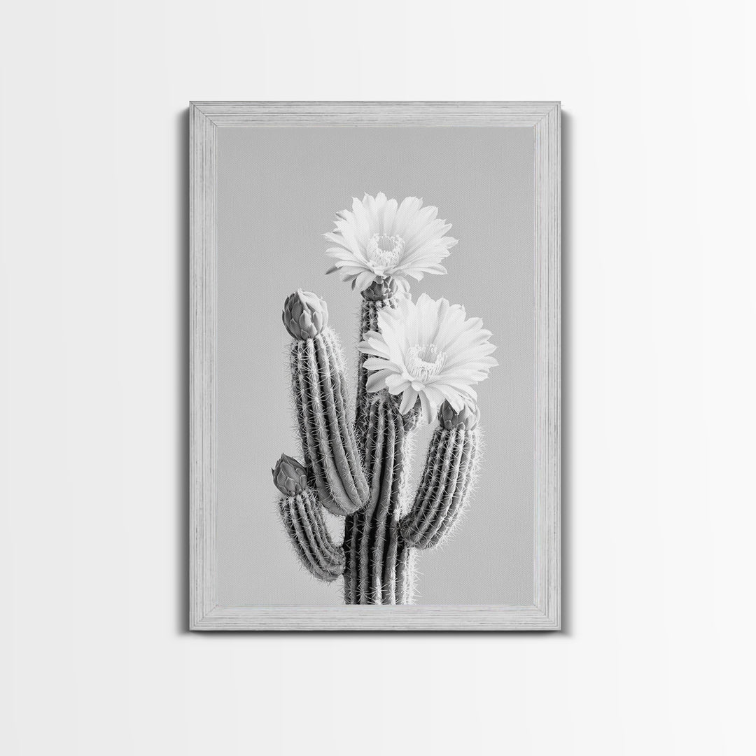 Cactus Bloom, desert botanical, minimalist art, black and white, southwest wall art, framed canvas print, vertical wall art, moody art