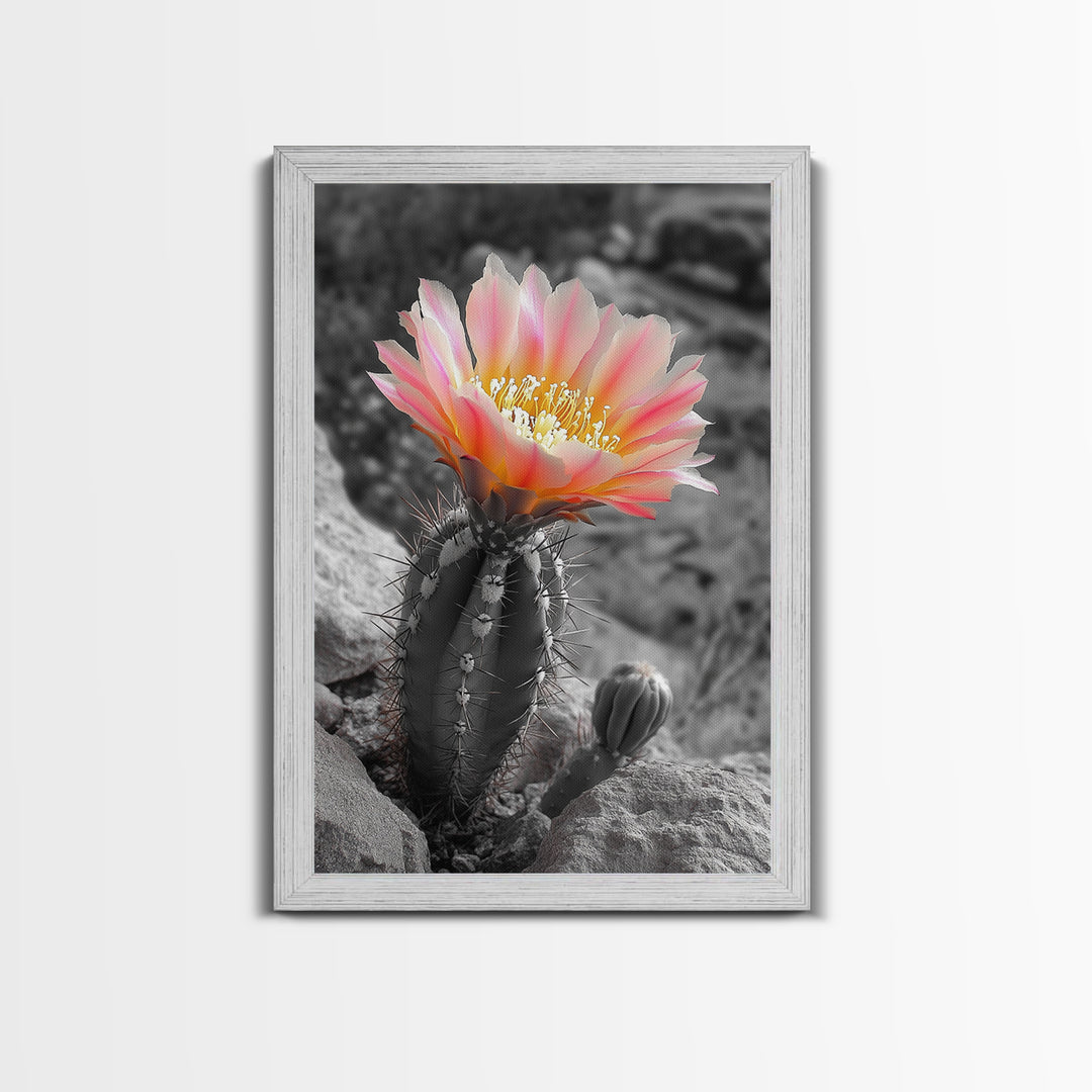 Blooming cactus, botanical print, desert flora, framed canvas print, nature decor, succulent wall art, pink flowers, southwest painting