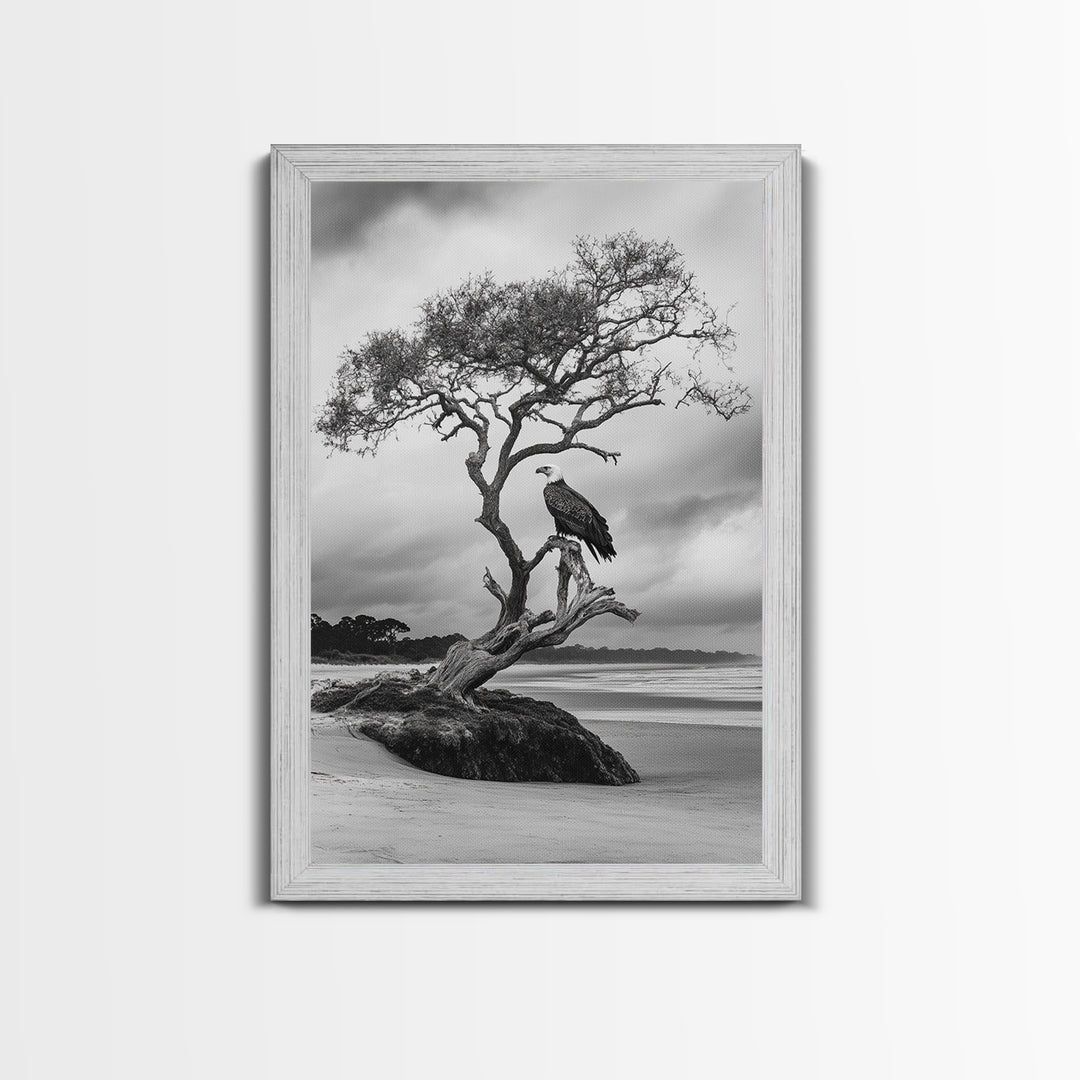 Bald eagle, nature wall art, moody art, wildlife photography, tree art, black and white art, above bed wall art, framed canvas print