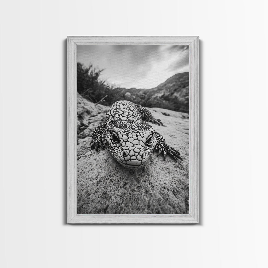 Lizard art, wildlife photography, moody art, desert decor, black and white photography, wabi sabi wall art, framed canvas print, unique gift