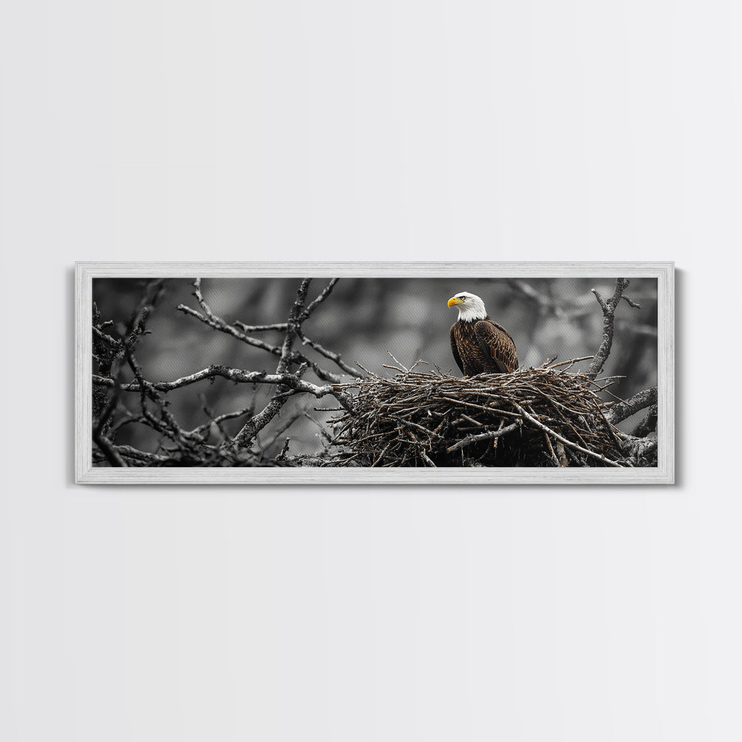 Bald Eagle, Nature Wall Art, Rustic Art, Wildlife Photography, Bird Art, Above Sofa Art, Panoramic Art, Framed Canvas Print