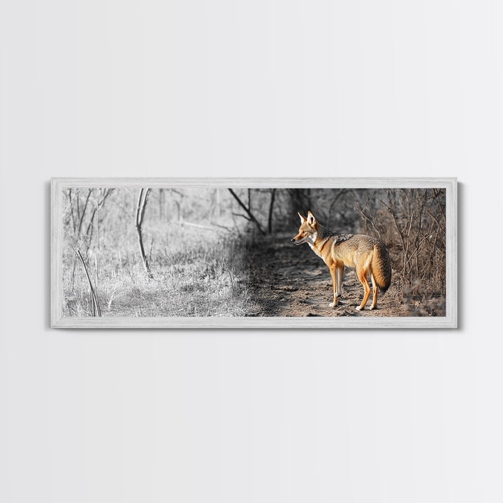 Coyote in Forest, Wildlife Wall Art, Rustic Decor, Nature Art, Moody Art, Extra Wide Art, Panoramic Art, Framed Canvas Print