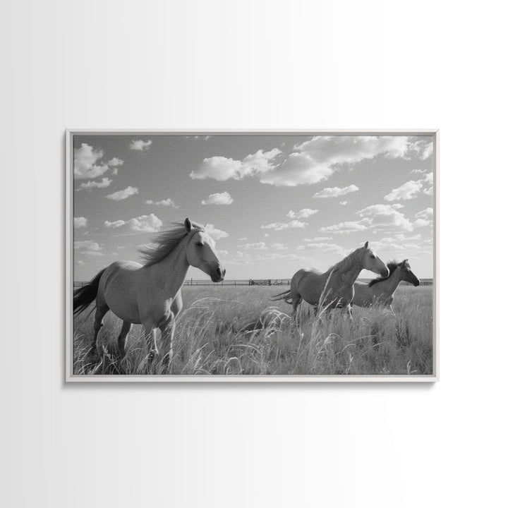 Fine Art Framed Canvas Print, Metal Art, Black & White Photo of Wild Mustangs, Horse Art, American Horses Landscape / Nature / Wildlife Art