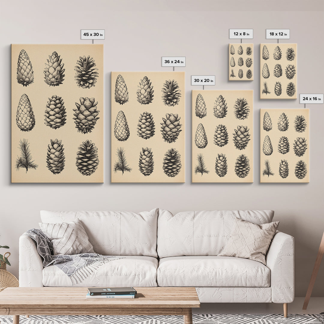 Vintage Pinecones Canvas Print - Framed Canvas - Minimalist Christmas Art - Boho Christmas Art - Rustic Christmas Art