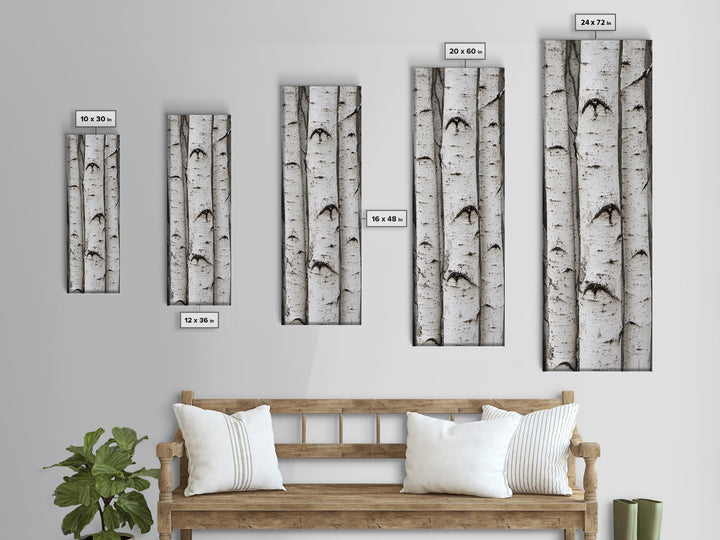 Classic Birch Trees Black and White Wall Art Framed Canvas Print Rustic Farmhouse Art Tall Narrow Art Guest Room Decor