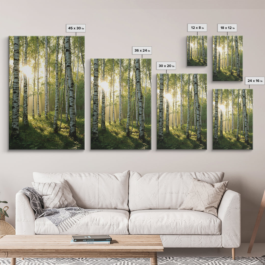 Morning Sunlight Birch Tree Art Canvas Print Natural Landscape Gift Rustic Farmhouse Vertical Artwork Home Decor Above Bed