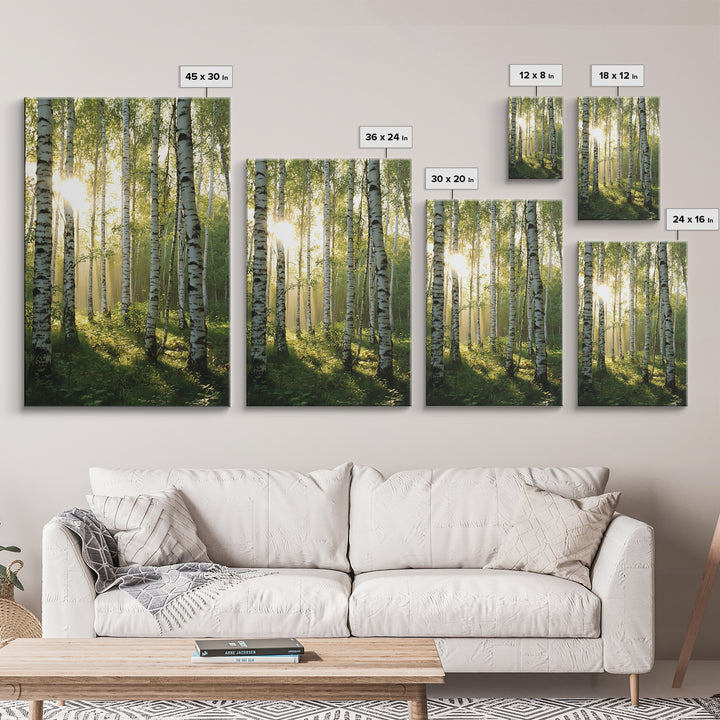 Morning Sunlight Birch Tree Art Canvas Print Natural Landscape Gift Rustic Farmhouse Vertical Artwork Home Decor Above Bed
