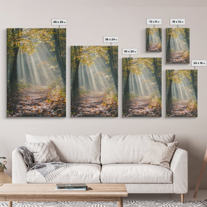 Sunlit Autumn Forest Path Canvas Print, Fall Wall Art, Nature Photography Print, Cozy Home Decor, Rustic Living Room Art, Cabin Wall Art