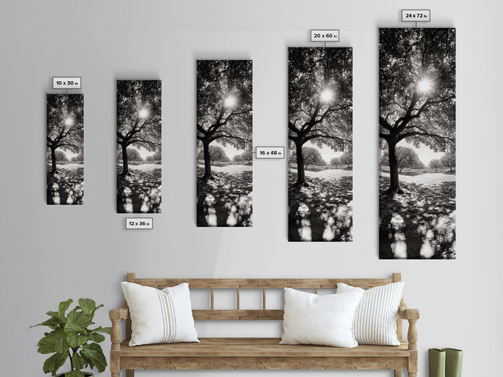 Sunlight Tree, Autumn Glow, Nature Shadowplay, Black White Forest Scene, Canvas Print, Fall Living Room Art, Boho Earthy Wall Decor
