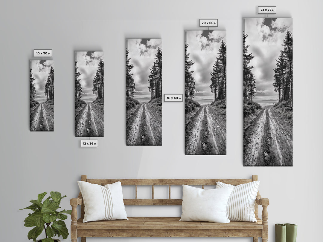 Coastal Forest Path, Nature Trail, Ocean View, Black and White, Framed Canvas Print, Entryway Wall Art, Rustic Decor, Landscape Photography