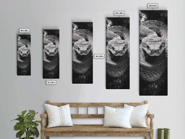 Coiled Snake, Wild Reptile, Black and White Snake, Fierce Eyes, Framed Canvas Print, Nature Lover Wall Art, Masculine Office Decor