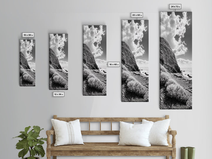 Coastal Shrubs, Rocky Beach, Sunlit Cliffside, Framed Canvas Print, Kitchen Wall Art, Black and White Nature, Scandinavian Home Style