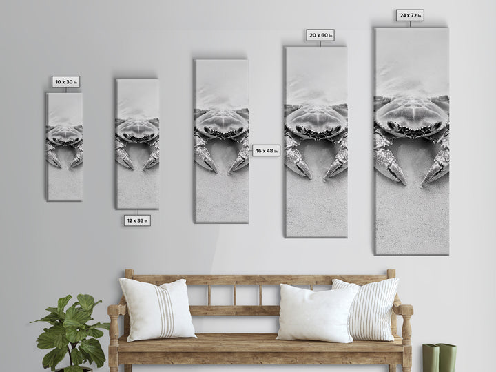 Crab Beach Art, Coastal Animal Print, Ocean Life Wall Decor, Bathroom or Kitchen Style, Framed Canvas Print, Black White Sea Creature