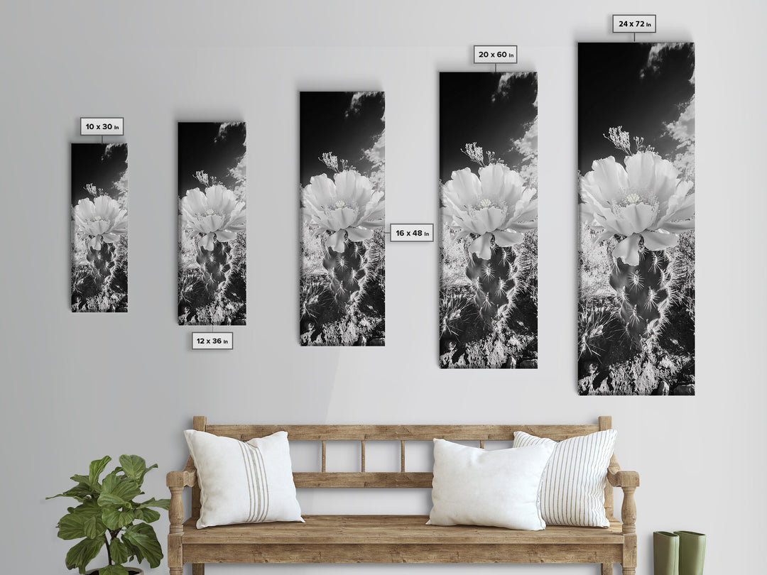 Desert Bloom Cactus, Southwest Art, Nature Floral Print, Cactus Photography, Framed Canvas Print, Kitchen Wall Art, Boho Wall Decor
