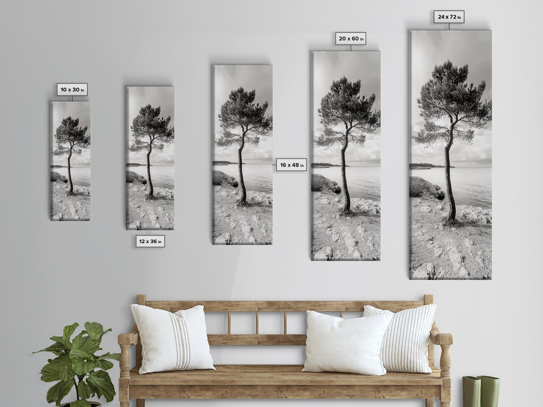 Coastal Tree, Seaside Calm, Lone Pine, Framed Canvas Print, Neutral Wall Art, Minimalist Decor, Nature Inspired Bedroom Print