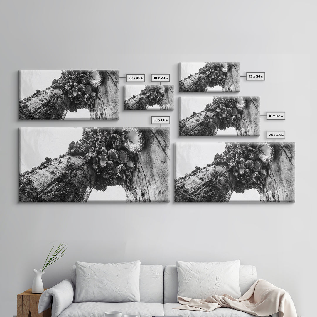 Coastal Texture, Tidepool Abstract, Modern Ocean Nature, Framed Canvas Print, Bathroom Wall Art, Marine Minimalist Photography