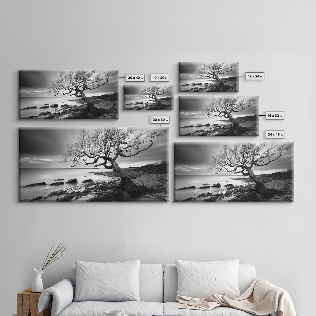 Coastal Tree, Tidal Shore, Windswept Beauty, Natural Balance, Framed Canvas Print, Bedroom Wall Art, Boho Decor, Serene Seascape