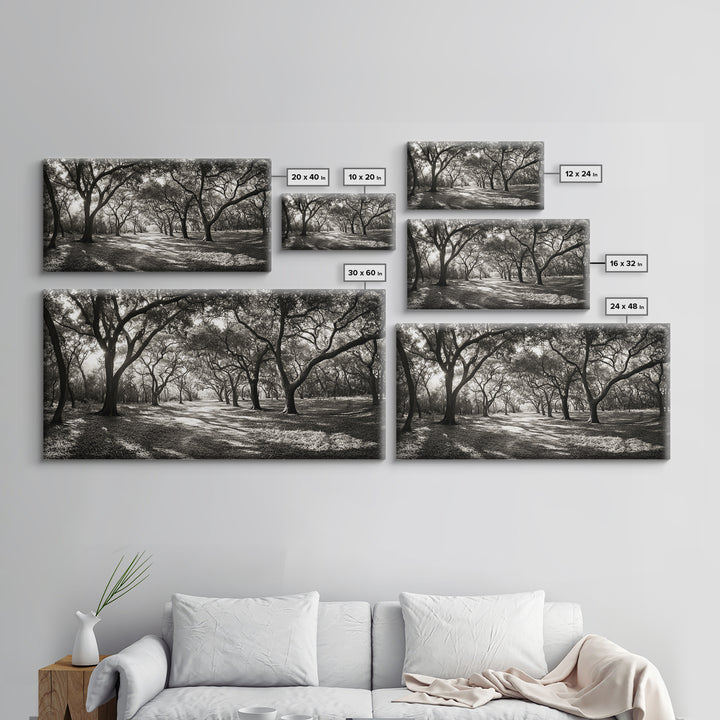 Oak Tree Path, Autumn Forest Glow, Nature Trail Photography, Framed Canvas Print, Hallway Wall Art, Earthy Decor, Woodland Art