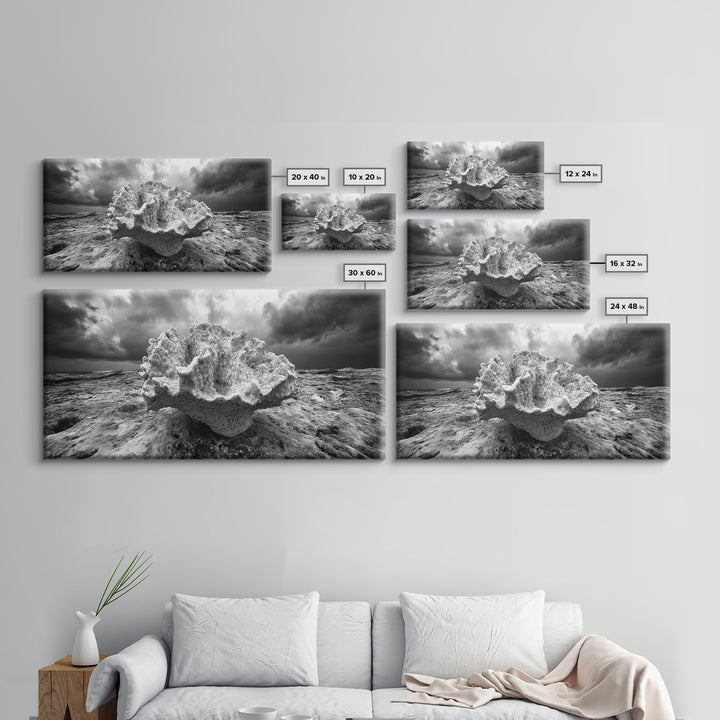 Coral Texture, Ocean Storm, Dramatic Sky, Sea Fossil, Framed Canvas Print, Coastal Nature Art, Fall Entryway Wall Decor, Cabin Wall Art