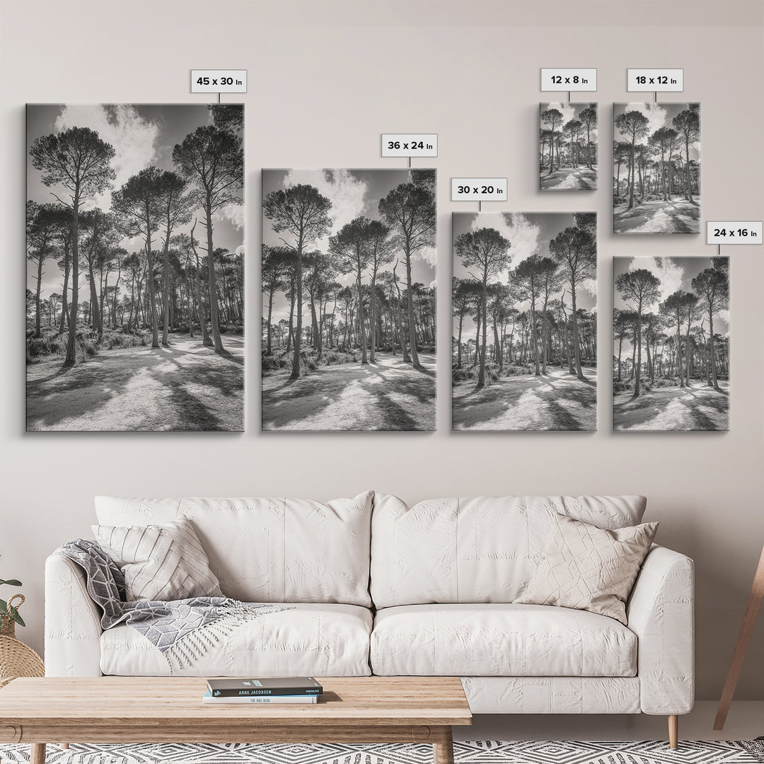 Forest Shadows, Tall Pines, Natural Light, Framed Canvas Print, woodland landscape, rustic cabin decor, autumn forest art