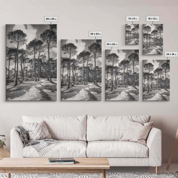 Forest Shadows, Tall Pines, Natural Light, Framed Canvas Print, woodland landscape, rustic cabin decor, autumn forest art